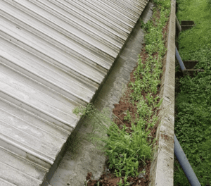 Happy customers in Basingstoke who trust The Roof Moss Cleaners for gutter cleaning services