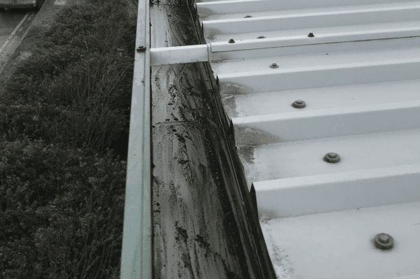 Commercial gutter cleaning specialists in Basingstoke
